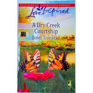 A Dry Creek Courtship by Janet Tronstad (Paperback)